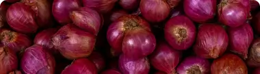 Red Onion